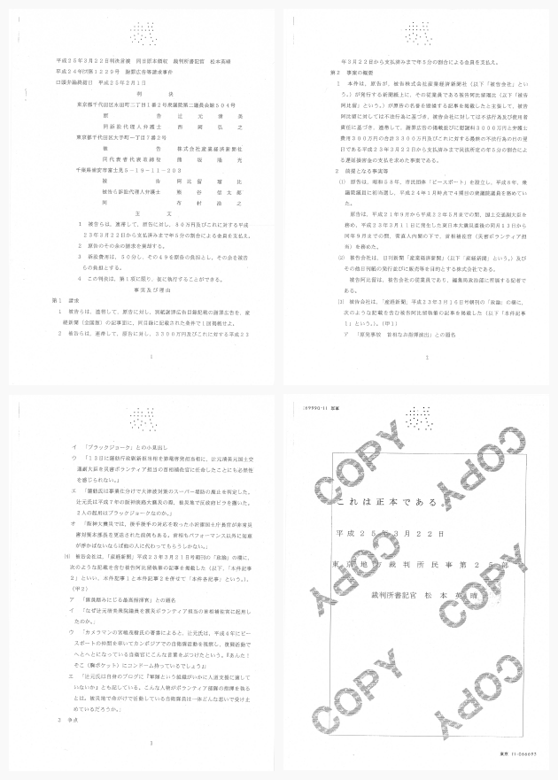 pdf-img02