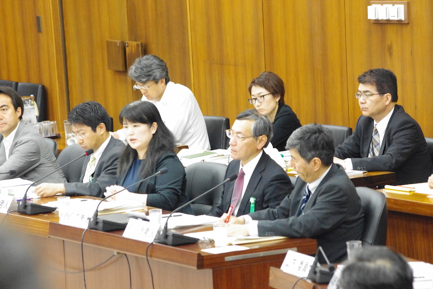 衆議院憲法審査会で参考人から意見聴取 活動ブログ つじもと清美公式サイト